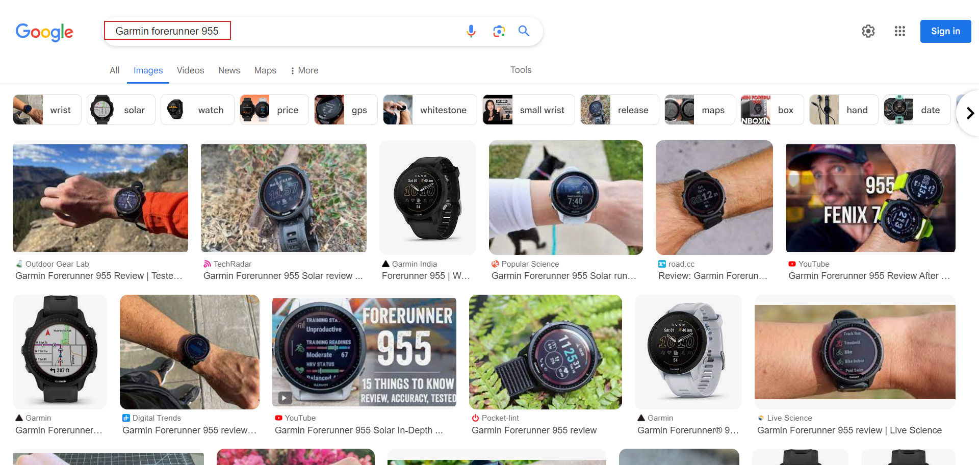 Screenshot from search for [Garmin forerunner]