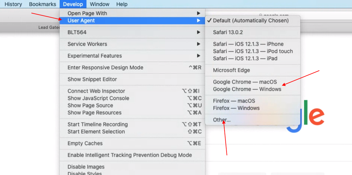 Safari's develop menu. User agent