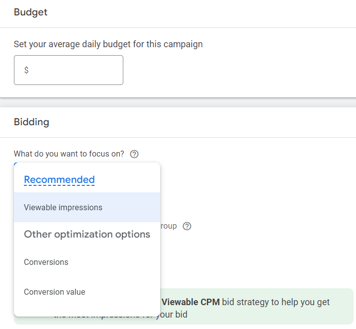 Choosing bid strategies in Google Ads for display campaign.