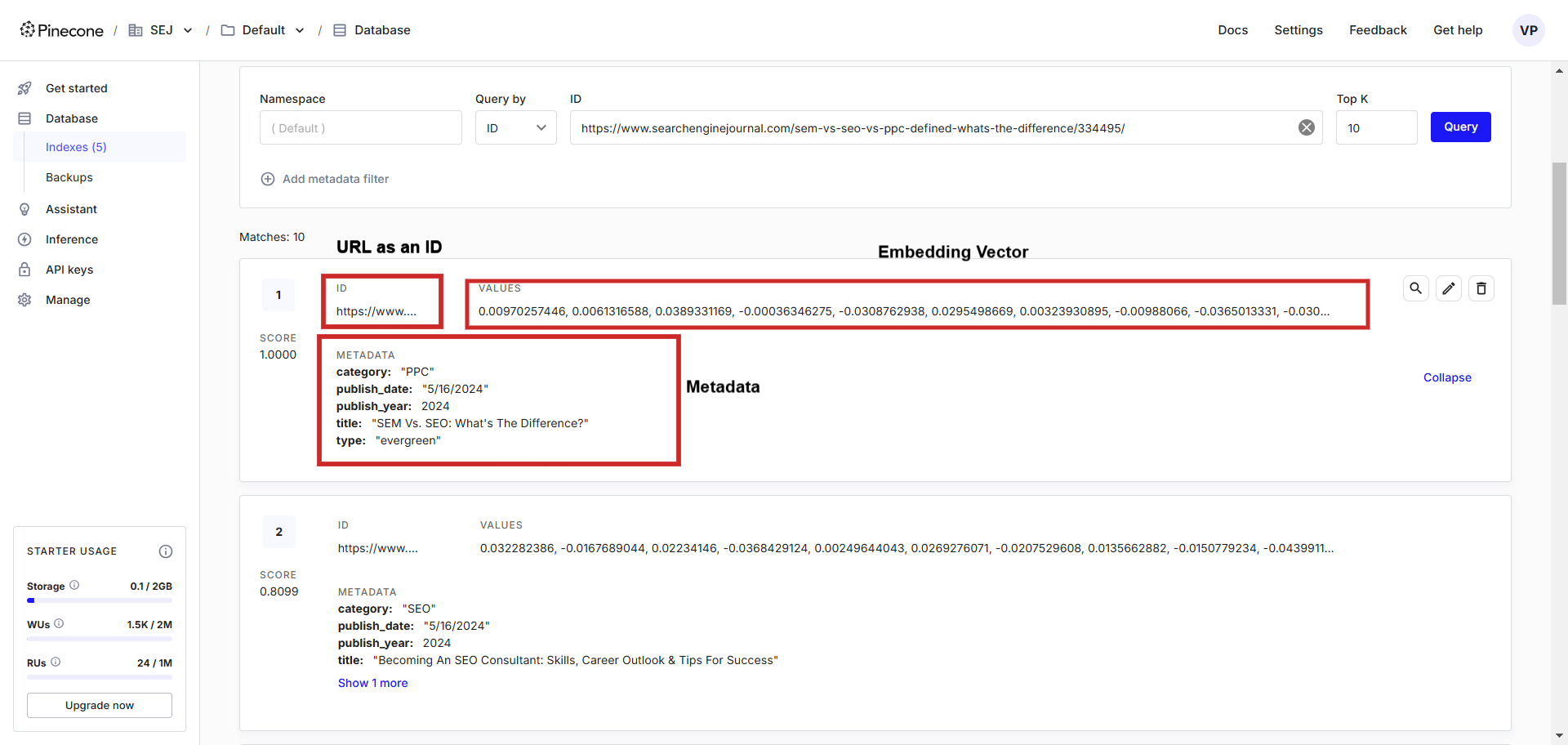 Text embedding record example in the vector database.