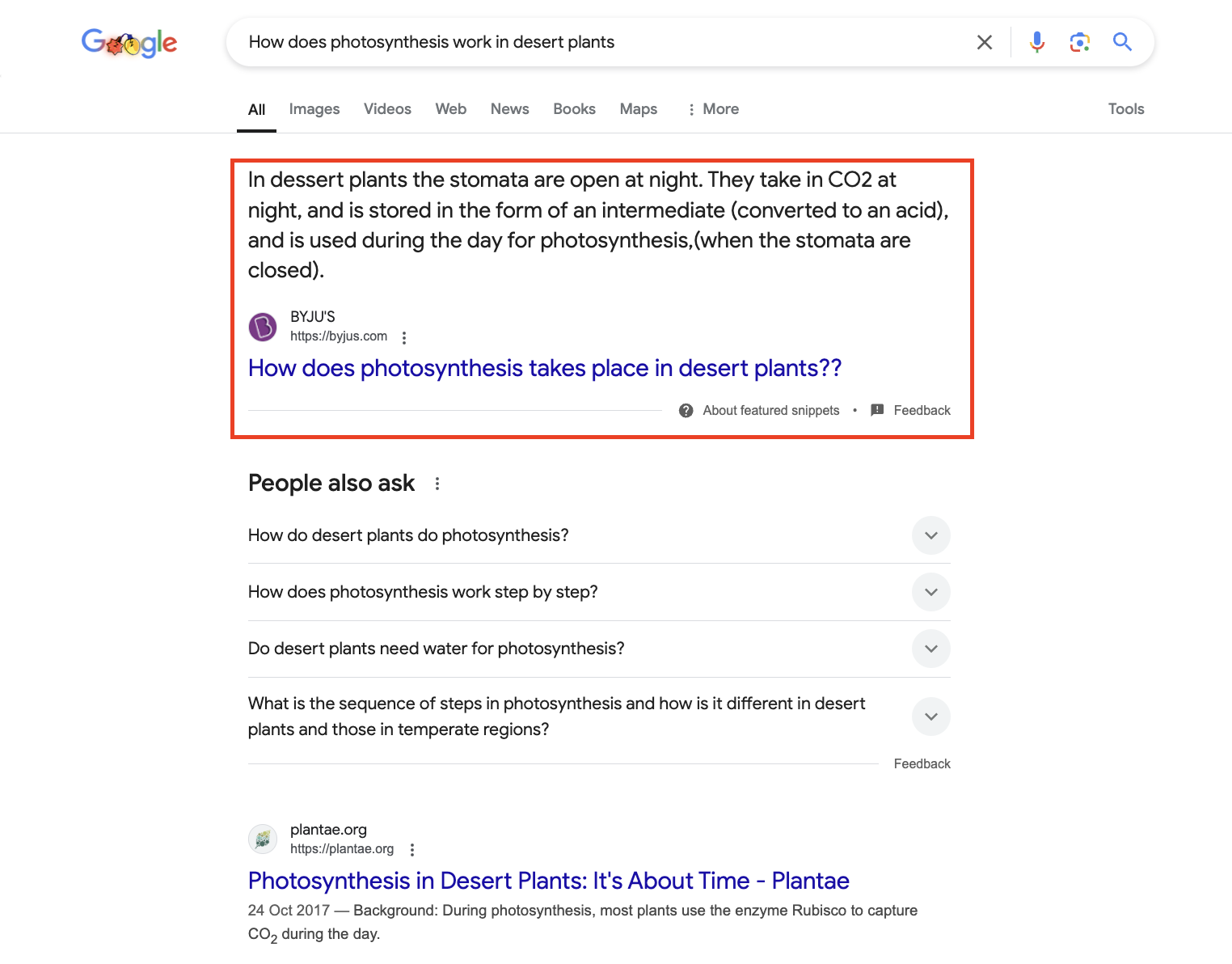 Screenshot from search for [How does photosynthesis work in desert plants], Google, January 2025