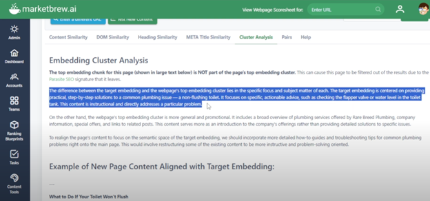 Example: Embedding Cluster Analysis