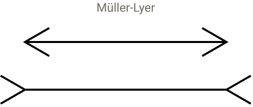 Screenshot of two lines with arrow lines on each end that are pointed in different directions for each line, one inward and the other outward. This gives the illusion that one line is longer than the other.